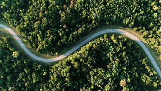 航拍森林曲折道路行驶的汽车