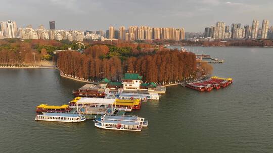 武汉东湖听涛风景区自然风光