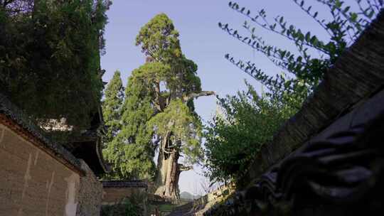 浙江丽水景宁畲族自治县云中大漈时思寺建筑