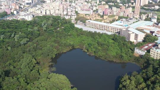 航拍深圳龙华区观澜河流及城区绿化