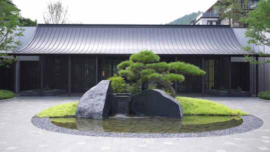现代新中式传统建筑门口的景观树和水景