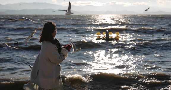 大理洱海日出美女喂海鸥唯美镜头