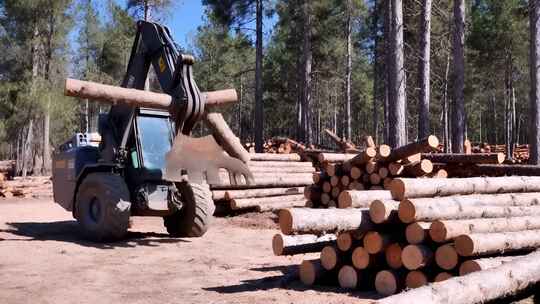 森林中机械搬运木材素材