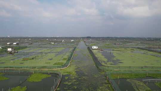 苏州阳澄湖大闸蟹养殖基地航拍