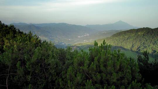 航拍山脉茶田/盆地/梯田/广告可用