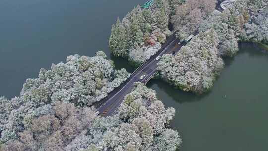 杭州西湖杨公堤雪景