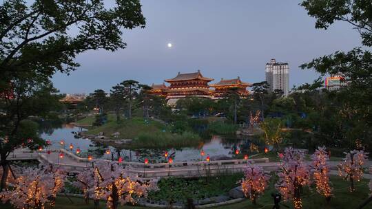 航拍九洲池夜景灯光秀古风