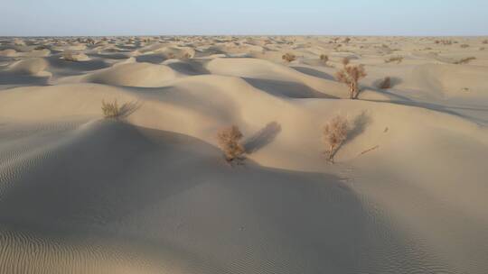 原创 新疆塔克拉玛干沙漠地貌自然风光航拍