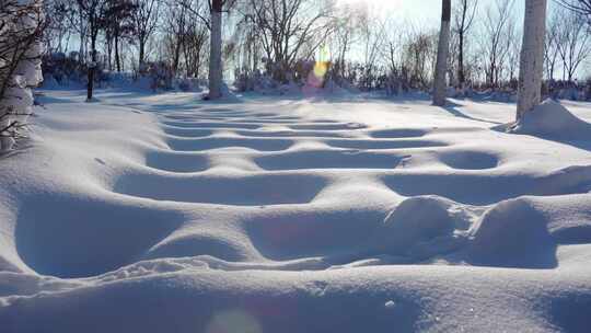 冬天雪地覆盖的公园步道