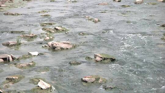 流淌的河水视频素材模板下载