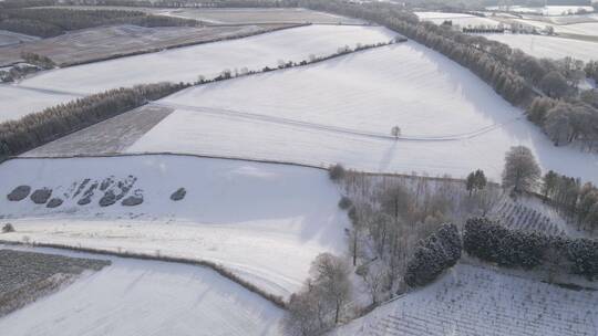 白雪覆盖的田野