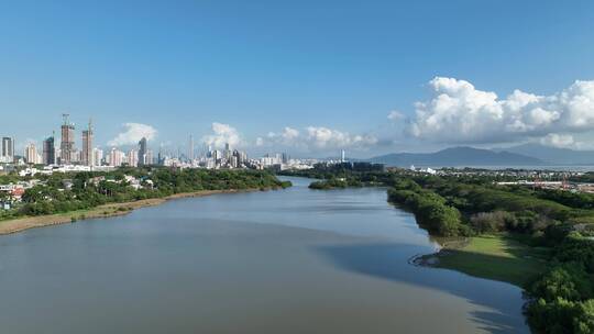 4K深圳南山区华侨城湿地公园航拍