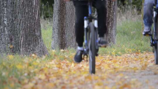 在满是秋天落叶的小路上骑行