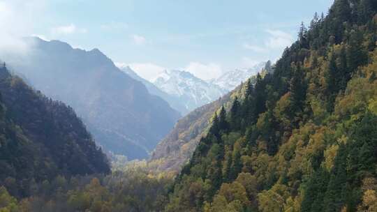 青海互助北山秋景雪山云雾航拍视频