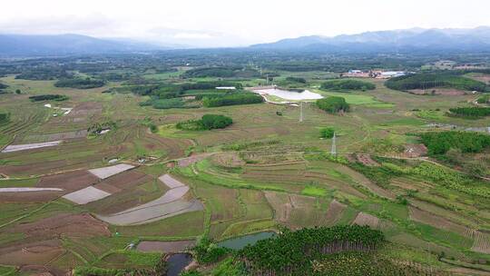 航拍农田风景