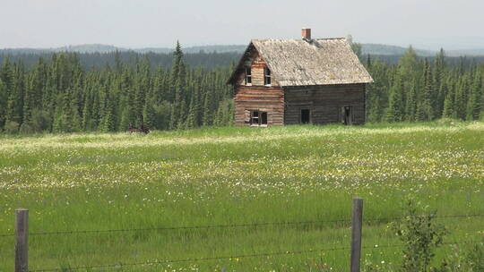 草原上废弃的木屋
