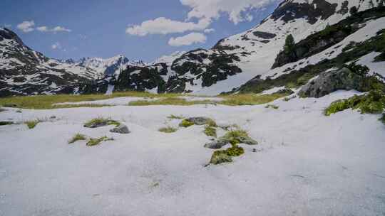 积雪融化春天来了万物苏复雪山高海拔