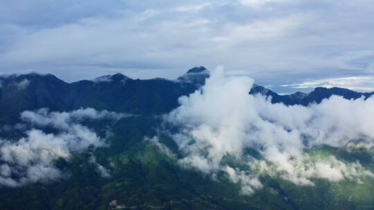 雨雾缭绕、光影斑驳的高黎贡山