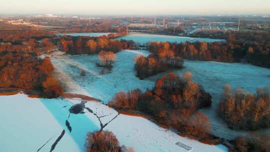 白雪覆盖的地面上棕色树木的航拍镜头