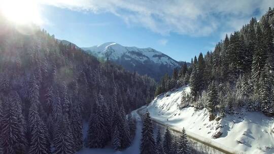 4K冬日冬季滑雪雪景雪山树林森林云彩白云