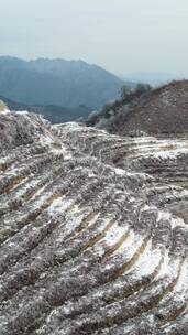 高清竖屏航拍桂林资源雾凇雪景