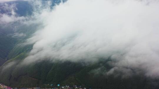 大山山涧向云雾飞去