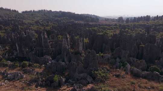 云南昆明石林风景区