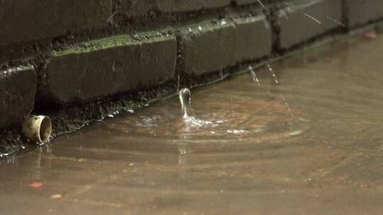 雨水 下雨 雨天 雨 细雨 下雨天 雨季视频素材模板下载