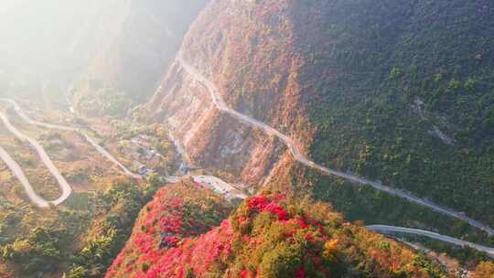 三峡红叶视频素材模板下载