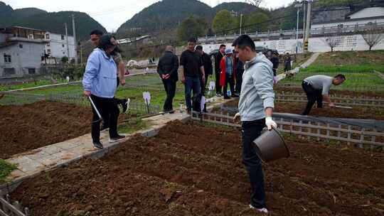 劳动空镜刨土锄地农场工人耕作劳作翻土