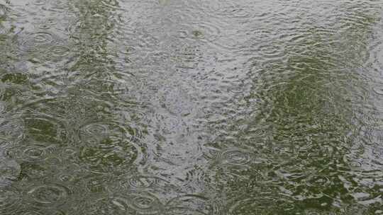 下雨天雨滴落在湖面水面泛起涟漪慢动作特写