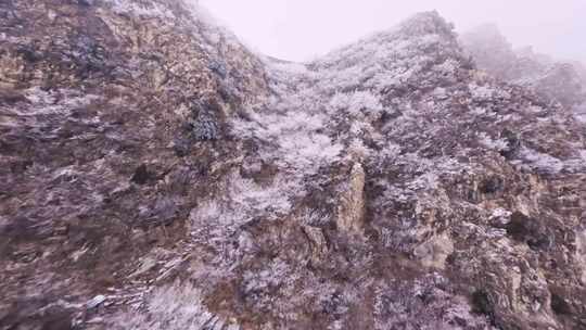 阴天下雪司马台长城爬升雾凇.