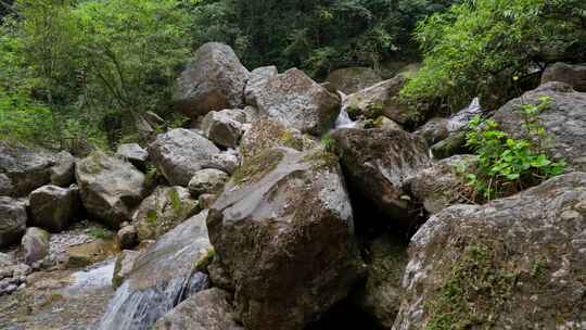 成都青城山后山峡谷森林步道溪流自然景观