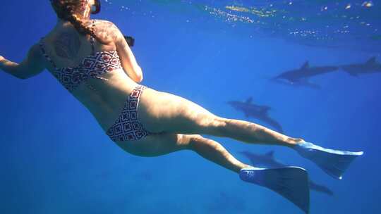 女摄影师水下拍摄海豚