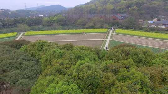 杭州玉皇山及八卦田