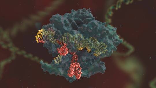 生物科学 基因编辑 DNA 基因工程 医学动画