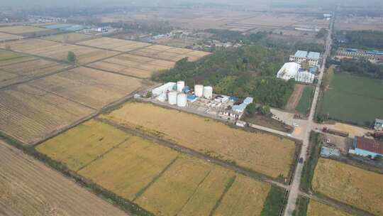 稻米水稻农田农业工厂环绕变焦