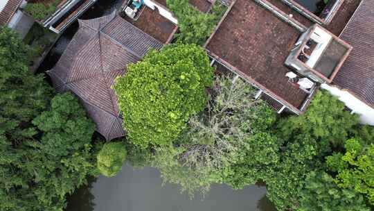 东莞可园风景区仿古建筑园林景观航拍