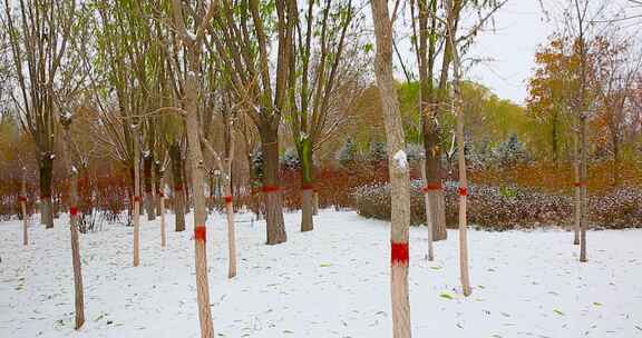 呼和浩特敕勒川公园秋季冰雪风光