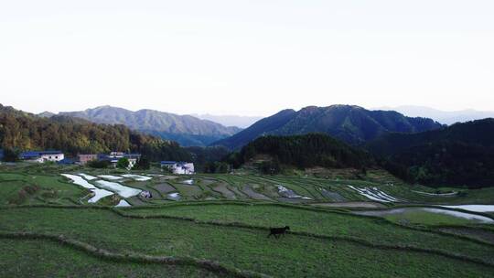 欧家梯田航拍