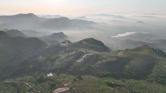 日出 田园 梯田