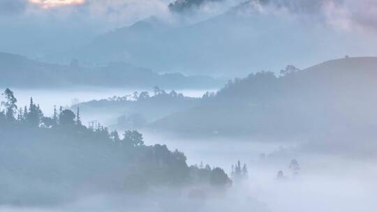 航拍茶山云海