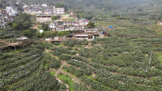 航拍福建漳州云霄