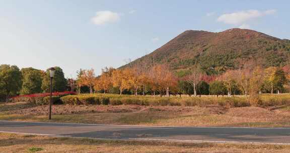 金秋时节 美丽的苏州大阳山森林公园