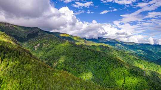 8K川西高海拔高山草甸绿色自然风光航拍延时