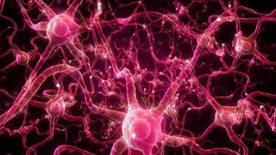 神经元细胞的动画。神经细胞在大脑中的活动