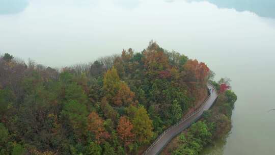 杭州市临安青山湖水上森林秋色航拍