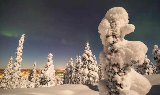 白雪覆盖的森林上的北极光延时