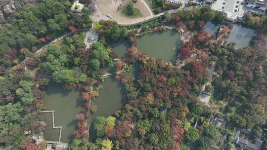 苏州天平山秋色秋韵（航拍16:9原片素材）