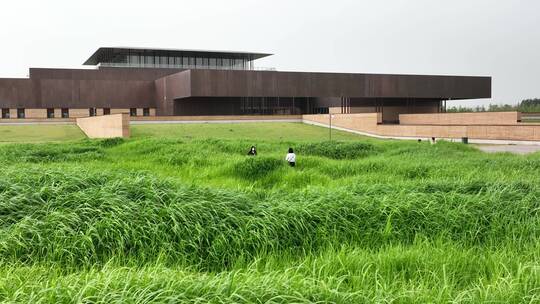 洛阳二里头夏都博物馆航拍芦苇荡建筑美学